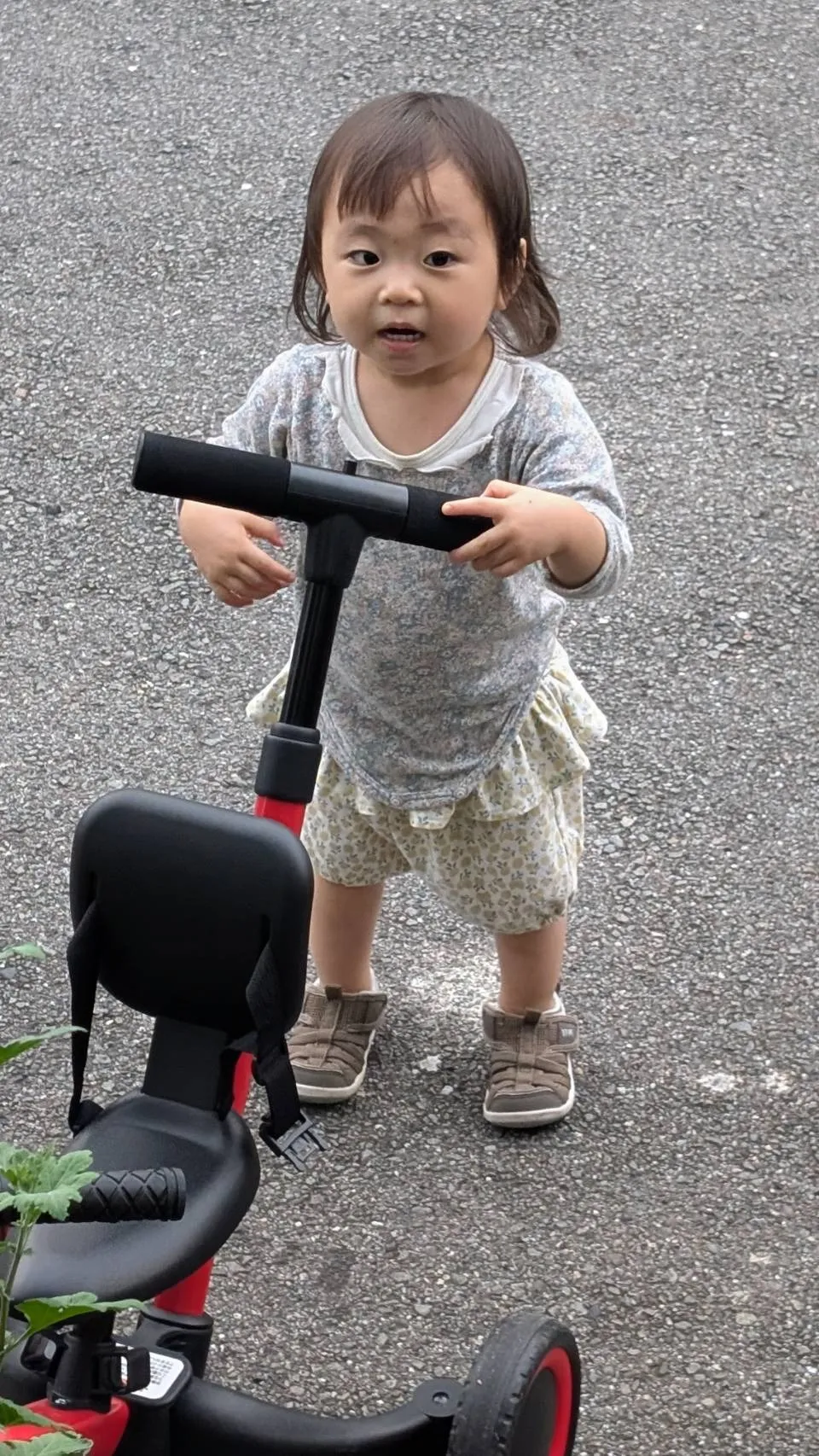 子育てしやすい家づくりって?